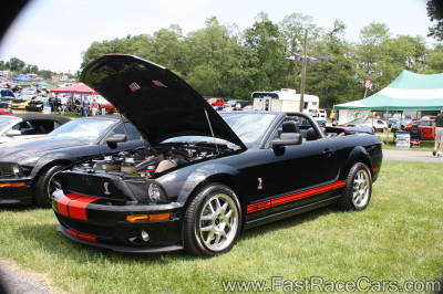Mustang